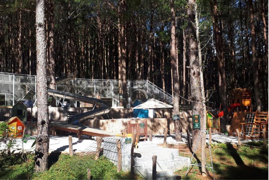 Mo Stay - Forest Resort دالات المظهر الخارجي الصورة