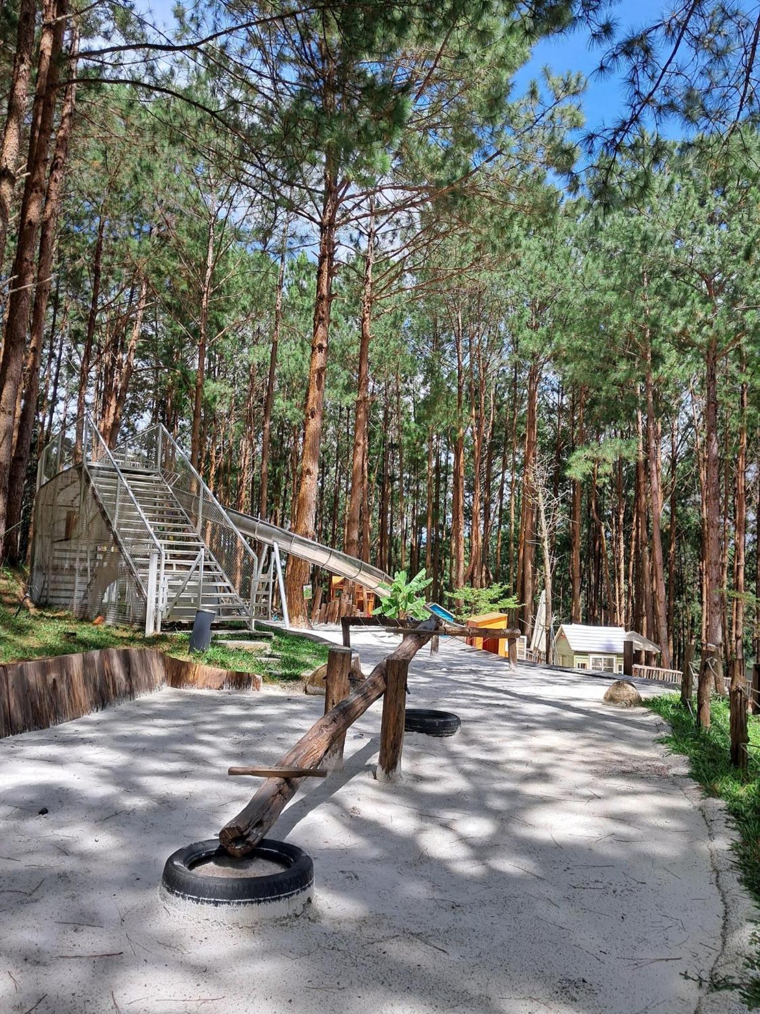 Mo Stay - Forest Resort دالات المظهر الخارجي الصورة