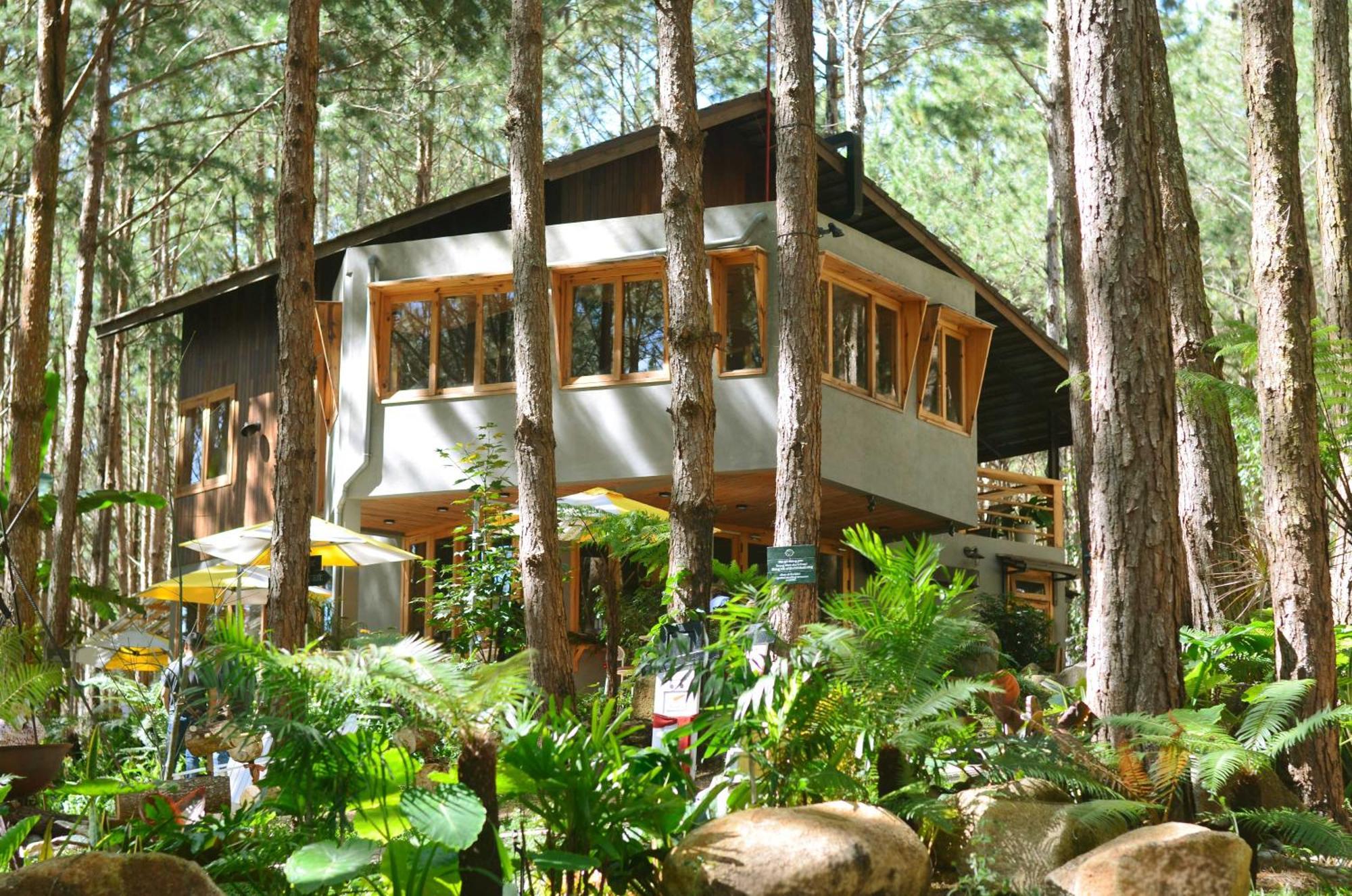 Mo Stay - Forest Resort دالات المظهر الخارجي الصورة