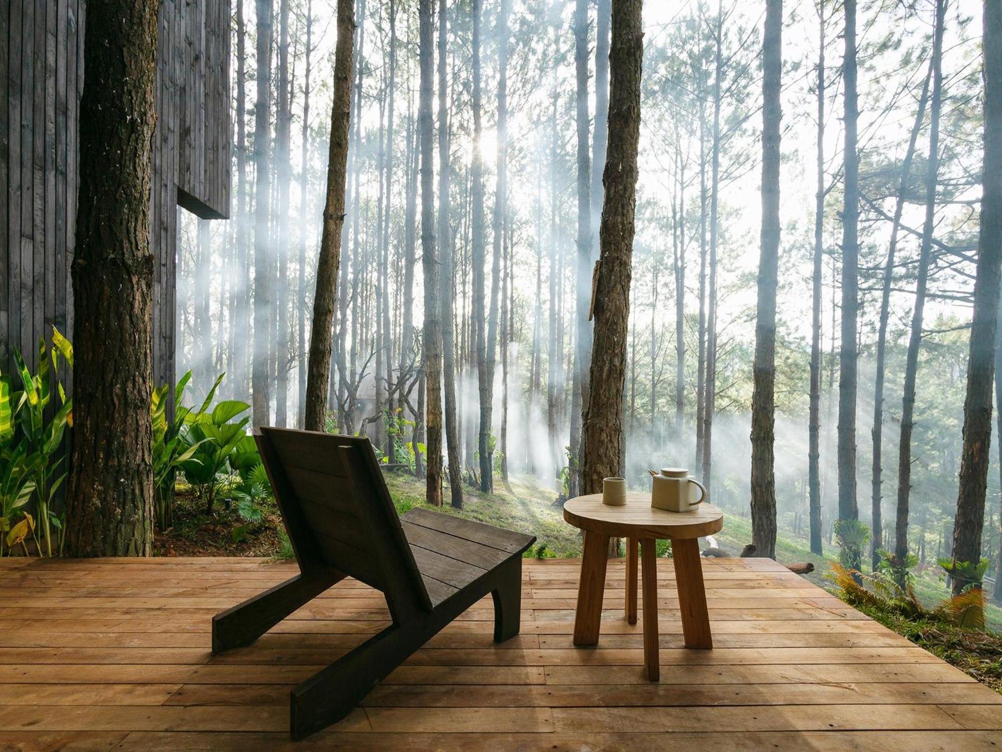 Mo Stay - Forest Resort دالات المظهر الخارجي الصورة