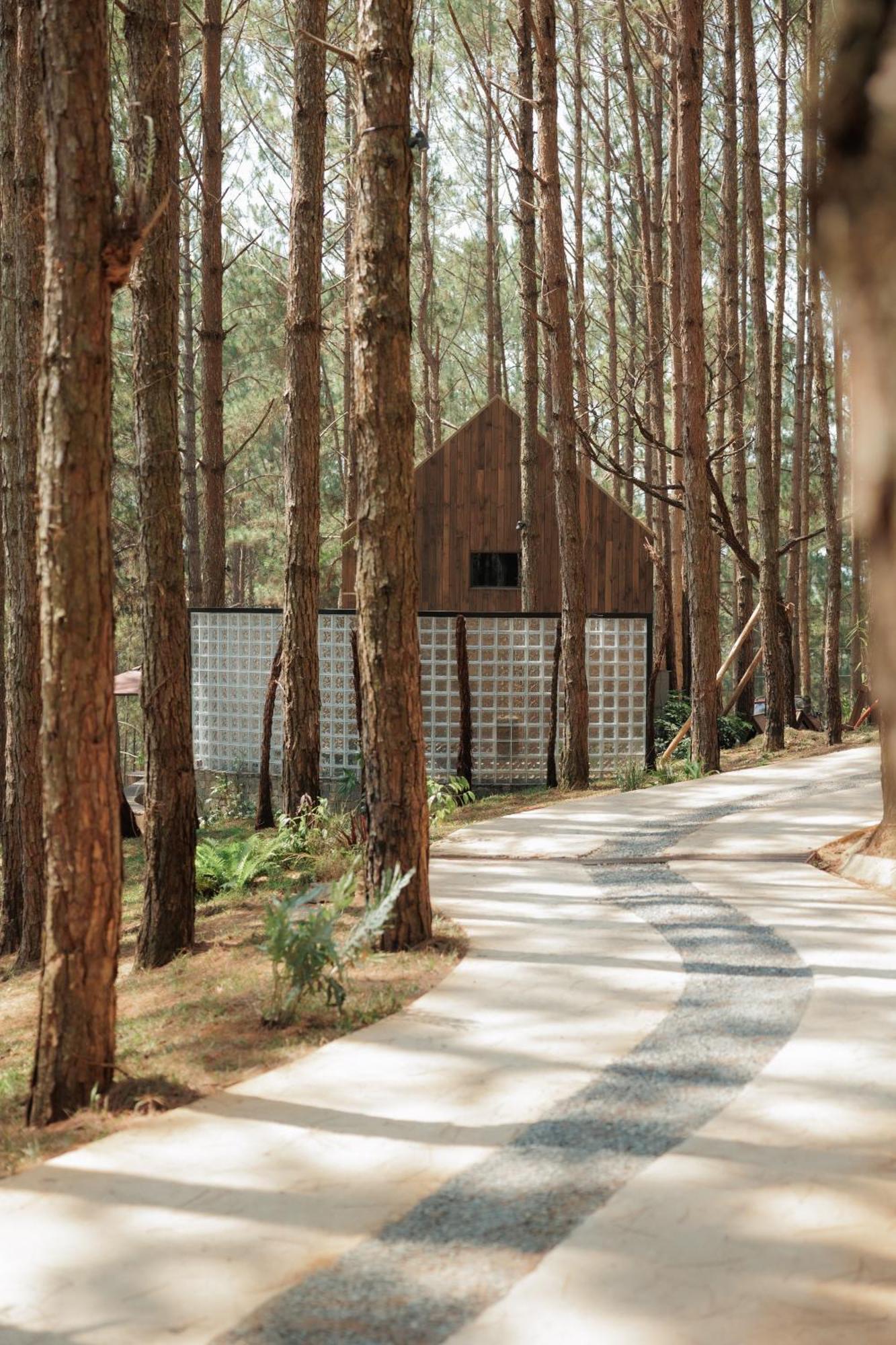 Mo Stay - Forest Resort دالات المظهر الخارجي الصورة