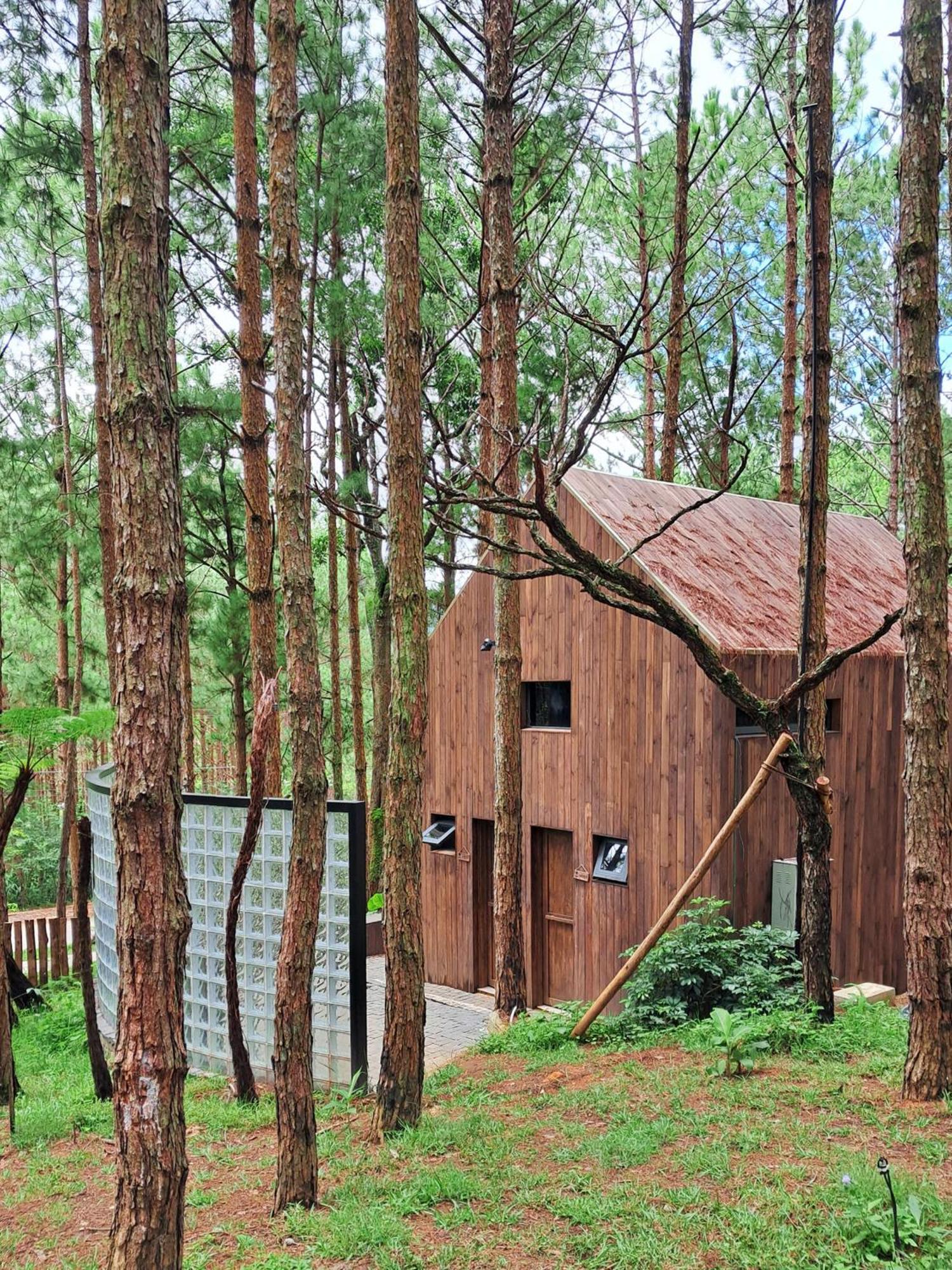 Mo Stay - Forest Resort دالات المظهر الخارجي الصورة