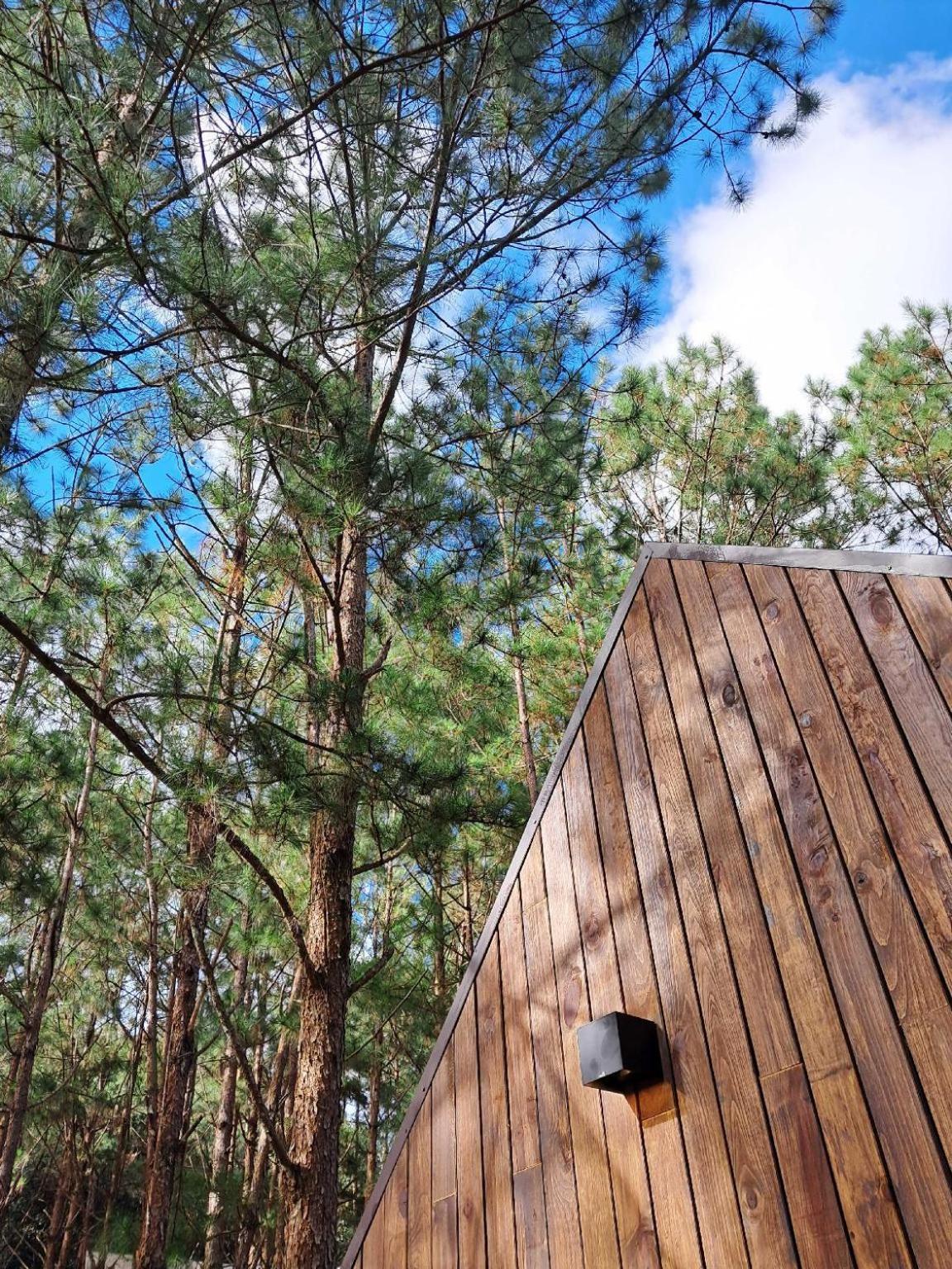 Mo Stay - Forest Resort دالات المظهر الخارجي الصورة